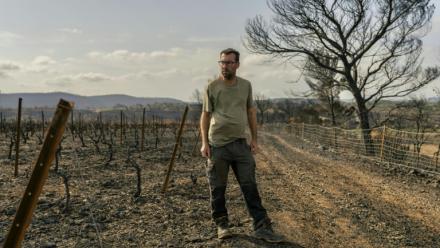 Le vigneron Laurent Bachevillier, qui a perdu toute sa récolte lors de l'incendie géant qui a ravagé les Corbières, le 22 août 2025 dans son domaine "Les Cascades", à Tournissan, dans l'Aude   
