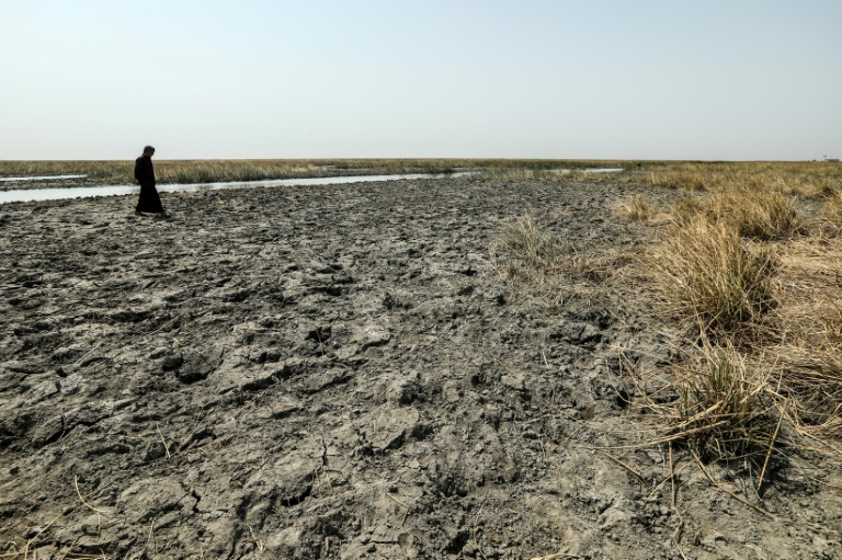 Un fermier marche sur des zones sèches exposées par le retrait des eaux dans les marais de Chibayish, frappés par la sécheresse, dans le sud de l'Irak, le 19 août 2025