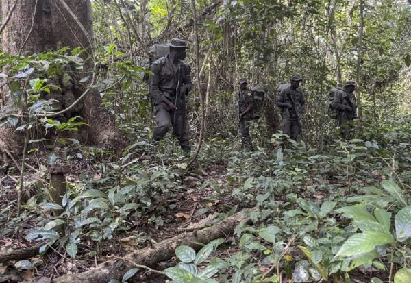 Des rangers de la fondation Africa Nature Investors s'entraînent à patrouiller dans la forêt d'Okomu, dans le sud-ouest du Nigeria, le 11 novembre 2025