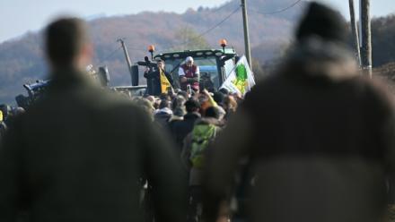 Des agriculteurs manifestent pour empêcher l'abattage d'un troupeau de 200 vaches, à la suite de la détection de la dermatose nodulaire contagieuse (DNC) aux Bordes-sur-Arize, le 11 décembre 2025 en Ariège