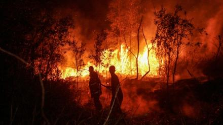Des pompiers luttent contre un incendie à Banjarbaru, en Indonésie, le 13 octobre 2026
