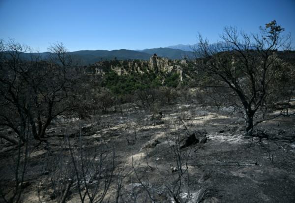 Une zone brûlée près de la commune d'Ille-sur-Têt et de Perpignan, alors qu'un incendie fait rage dans le département des Pyrénées-Orientales, le 7 juillet 2026