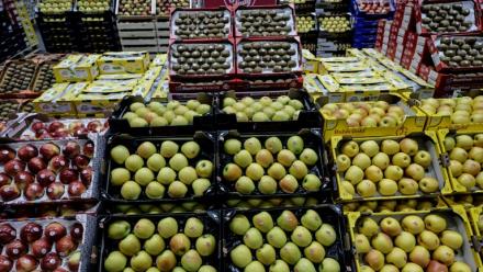 Des pommes en vente au marché de gros de Rungis, le 10 décembre 2025