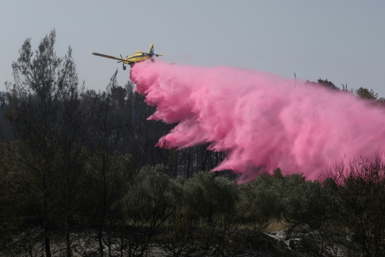 Un avion de lutte contre les incendies près de Bet Shemesh, dans le centre d'Israël, le 1er mai 2025