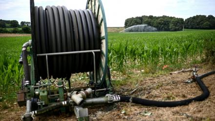 Pas d'agriculture sans eau", martèlent les agriculteurs, au début d'un siècle sous la pression du changement climatique