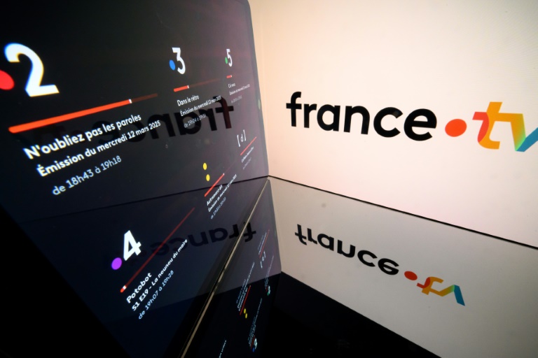Dans les 69 recommandations de son rapport de commission d'enquête, le député UDR Charles Alloncle cible particulièrement France Télévisions