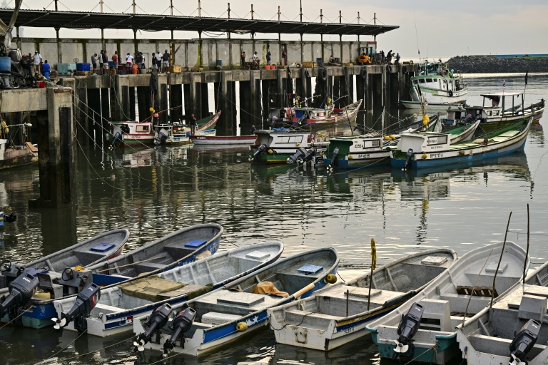 Des bateaux amarrés au terminal de pêche de la ville de Panama, le 24 septembre 2026