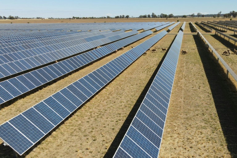 Des panneaux solaires dans la ferme photovoltaïque de Tom Warren près de la ville australienne de Dubbo, à environ 400 kilomètres à l'ouest de Sydney, le 19 janvier 2026 