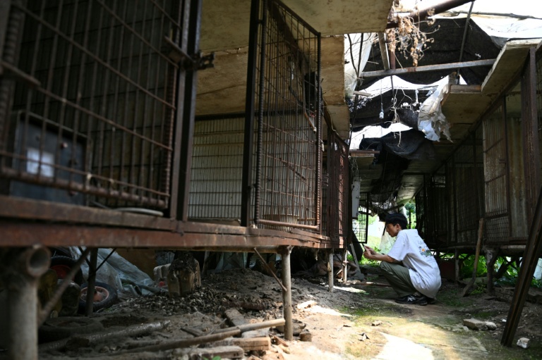 Un militant pour les droits des animaux inspectant des cages vides dans un abattoir canin abandonné à Pyeongtaek, en Corée du Sud, le 11 juin 2026