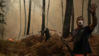 Un volontaire lutte contre le feu dans la forêt à Lanton (Gironde) le 29 juillet 2026