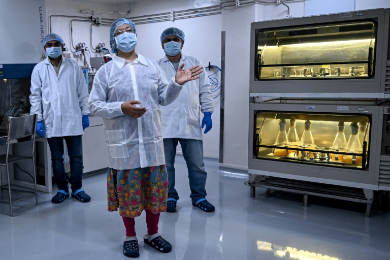 Priyanka Priyadarsiny (c), responsable recherche et développement, explique le processus de développement d'un vaccin au sein du laboratoire l'entreprise pharmaceutique Panacea Biotec, le 29 janvier 2026 à New Delhi, en Inde