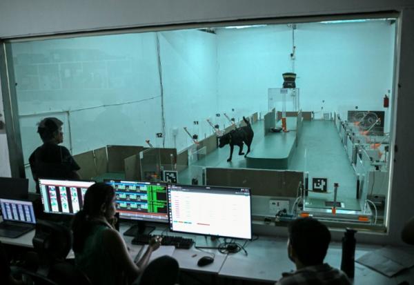Des employés observent le comportement d'un chien lors d'un test de détection au laboratoire du site de Dognosis, le 28 juillet 2026 à Kempohalli, en périphérie de Bangalore, en Inde