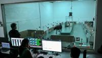 Des employés observent le comportement d'un chien lors d'un test de détection au laboratoire du site de Dognosis, le 28 juillet 2026 à Kempohalli, en périphérie de Bangalore, en Inde