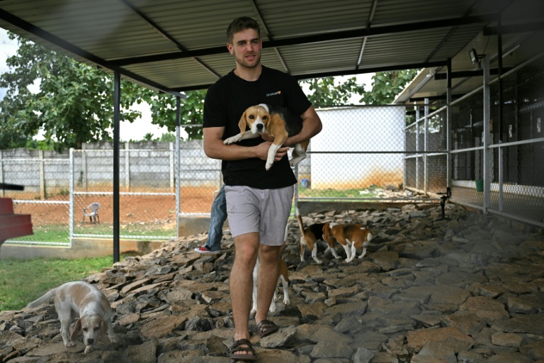 Itamar Bitan, cofondateur de Dognosis, tient un chien dans ses bras dans un chenil de son établissement, le 28 juillet 2026 à Kempohalli, en périphérie de Bangalore, en Inde