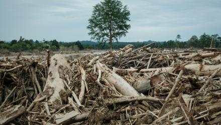 Les inondations et les glissements de terrain, aggravés par la déforestation, ont causé la mort de plus de 1.000 personnes à Sumatra l'année dernière.