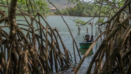 Milicent Turay ramasse des huîtres dans la rivière Numéro Deux, au milieu des mangroves de Freetown, le 13 avril 2026, en Sierra Leone