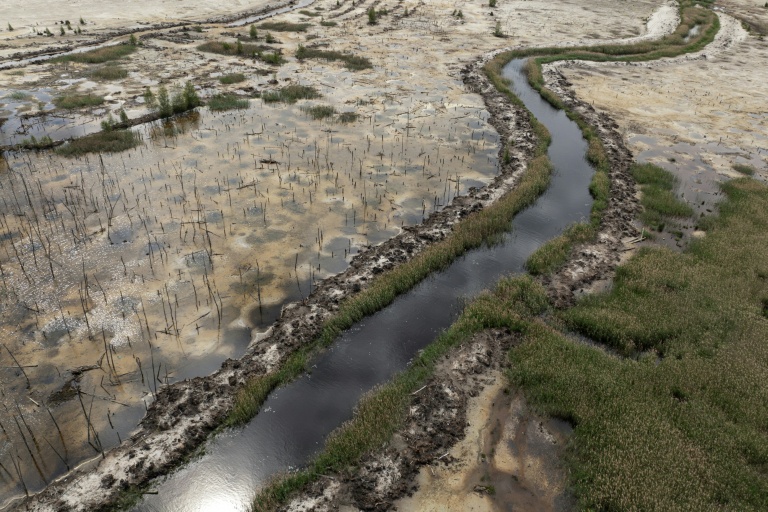 Vue d'une ancienne forêt autrefois utilisée pour l'extraction illégale d'ambre, dans le nord-ouest de l'Ukraine, le 19 mai 2026