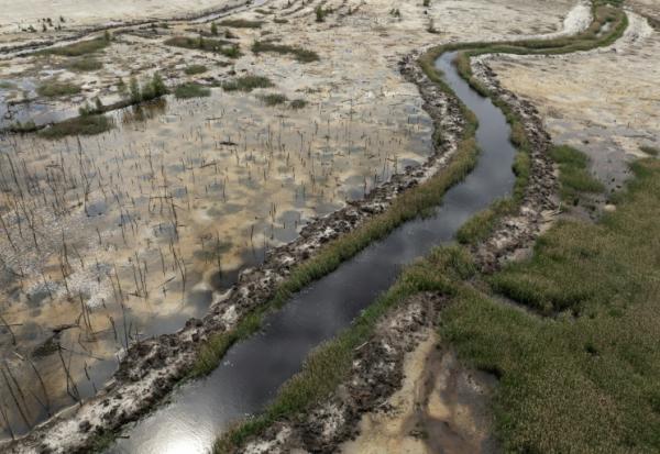 Vue d'une ancienne forêt autrefois utilisée pour l'extraction illégale d'ambre, dans le nord-ouest de l'Ukraine, le 19 mai 2026