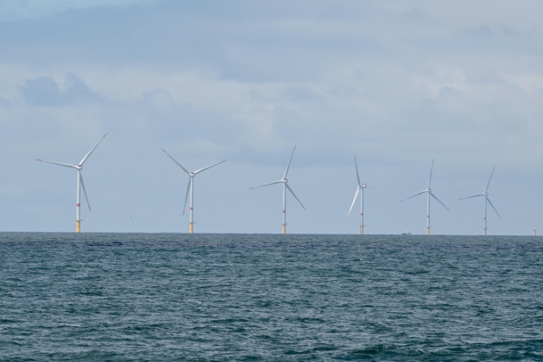 Le parc éolien offshore d'Yeu-Noirmoutier au large de l'Île-d'Yeu (Île d'Yeu), le 23 juin 2025