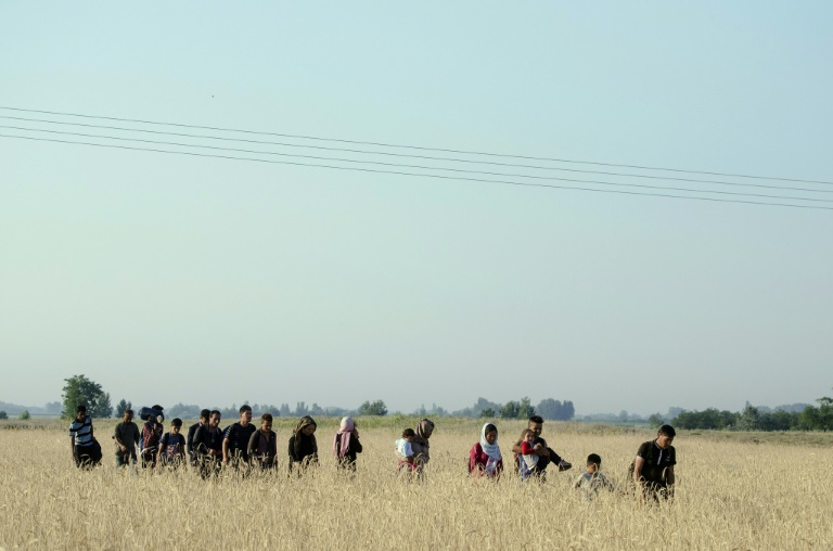 Des migrants arrivent en Hongrie à la frontière avec la Serbie, le 7 juillet 2015