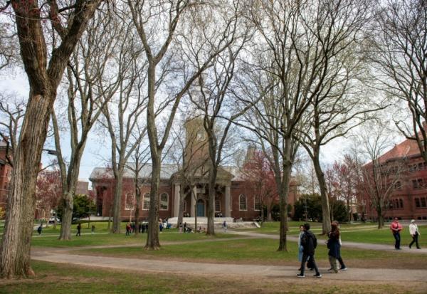 Le Harvard Yard du campus de l'Université Harvard à Cambridge, le 15 avril 2025 dans le Massachussetts