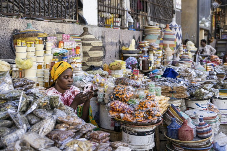 Une vendeuse consulte son téléphone dans son stand au marché du Mali à Dakar, le 22 janvier 2025. 