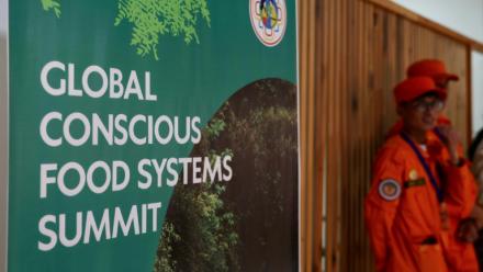 Pour aider les agriculteurs confrontés aux pressions financières, aux conséquences du changement climatique et à l'appauvrissement des sols, des experts plaident pour rapprocher les consommateurs des producteurs
