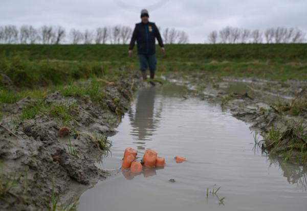 Yannick Frain, maraîcher et éleveur, marche dans son champ de carottes ravagé par les pluies qui ont frappé l'ouest de la France, le 19 février 2026 à Roz-sur-Couesnon, en Ille-et-Vilaine