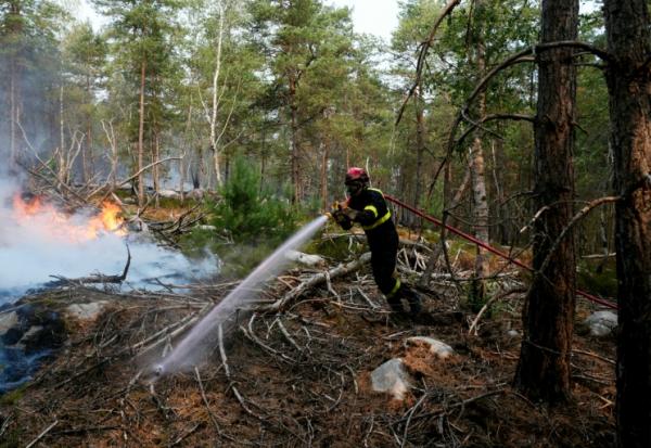 Un pompier lutte contre un incendie dans la forêt de Fontainebleau, à Noisy-sur-Ecole, en Seine-et-Marne, le 14 juillet 2026 