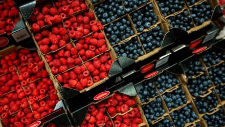 Un grossiste de Dordogne, poursuivi pour avoir frauduleusement étiqueté "origine France" des fruits produits à l'étranger, condamné à un an de prison avec sursis et 50.000 euros d'amende