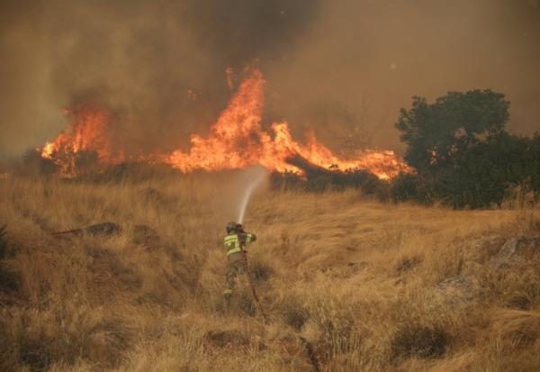 Un pompier lutte contre un incendie dans la région de Megara, à l'ouest d'Athènes, le 3 août 2026