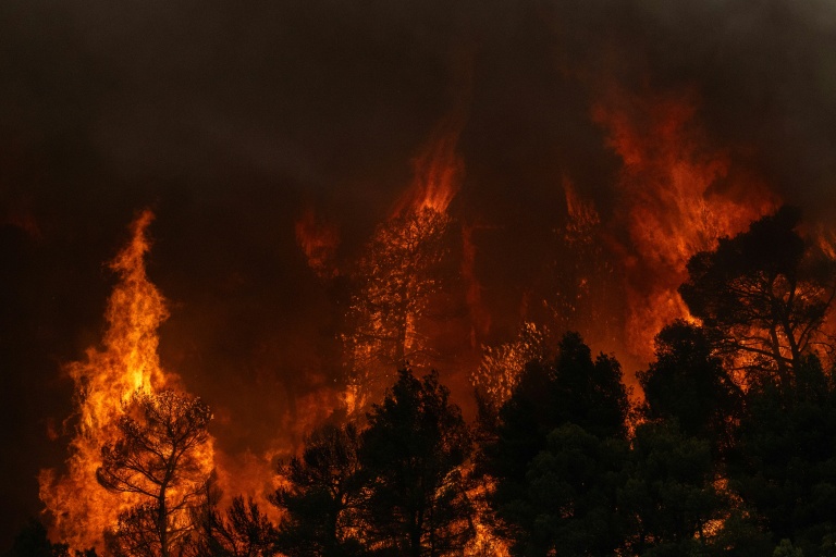 La fumée d’un incendie de forêt s’élevant tandis que les flammes brûlent les arbres et la végétation dans la région de Porto Germeno, le 1er août 2026