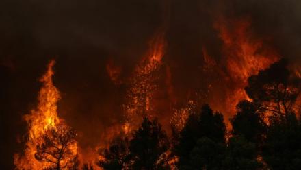 La fumée d’un incendie de forêt s’élevant tandis que les flammes brûlent les arbres et la végétation dans la région de Porto Germeno, le 1er août 2026