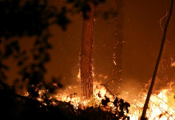 Incendie dans les landes, Luglon, 14 août 2026