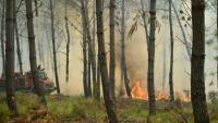 Des pompiers luttent contre un feu de forêt près de Luglon, dans les Landes, le 14 août 2026 