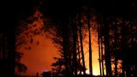 Feu de forêt dans les Landes, à Luglon, le 13 août 2026