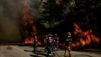 Des pompiers grecs tentent d’éteindre un incendie de forêt dans la région de Porto Germeno, à quelque 70 kilomètres au nord-ouest d’Athènes, dans la région de la Viotia, le 2 août 2026