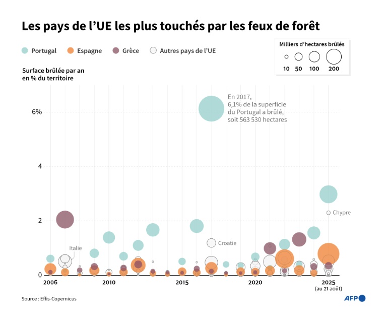 Les pays de l'UE les plus touchés par les feux de forêt