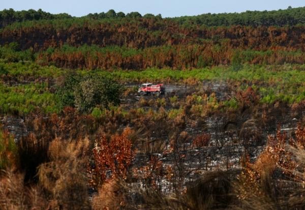 Un véhicule de pompiers au milieu d'une végétation en partie détruite par un incendie à Lège-Cap-Ferret, en Gironde, le 1er août 2026 