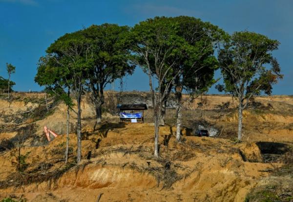 Une zone de déboisement pour la plantation de palmiers à huile à Lamno, dans la province d'Aceh, le 18 janvier 2026 en Indonésie