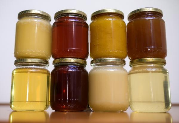L'ONG Agir pour l'environnement alerte lundi sur des traces de néonicotinoïdes, des insecticides interdits en France dont l'acétamipride, dans le Nutella et différents miels 