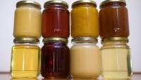 L'ONG Agir pour l'environnement alerte lundi sur des traces de néonicotinoïdes, des insecticides interdits en France dont l'acétamipride, dans le Nutella et différents miels 