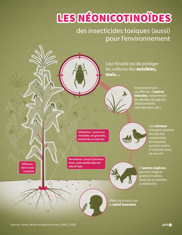 Les néonicotinoïdes, des insecticides toxiques (aussi) pour l'environnement