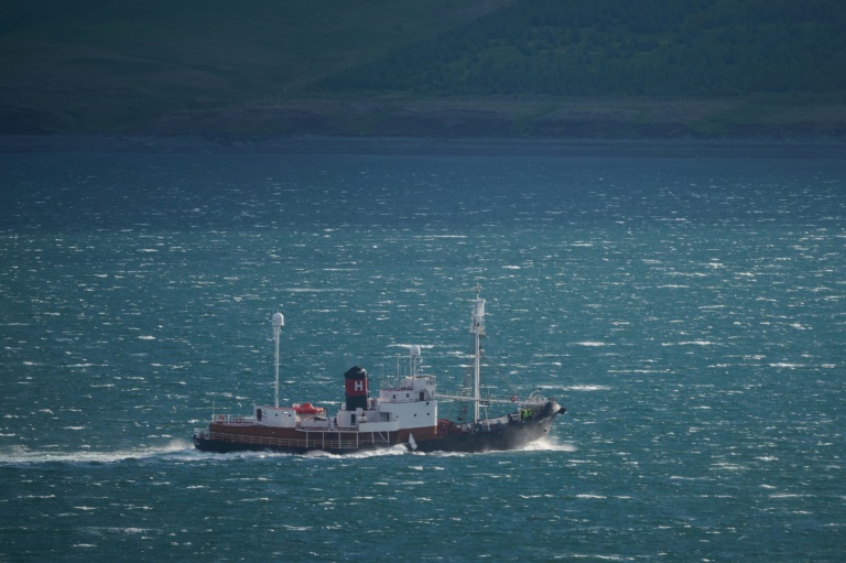 Le baleinier Hvalur 9 ramène au port un rorqual commun de 20 mètres vers le port de Hvalfjordur, près de Reykjavik, le 24 juin 2022