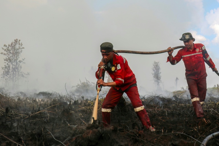 Des pompiers luttent contre des incendies sur des tourbières à Pulang Pisau, en raison d'une saison sèche prolongée, le 31 juillet 2026 dans la province du Kalimantan central, en Indonésie