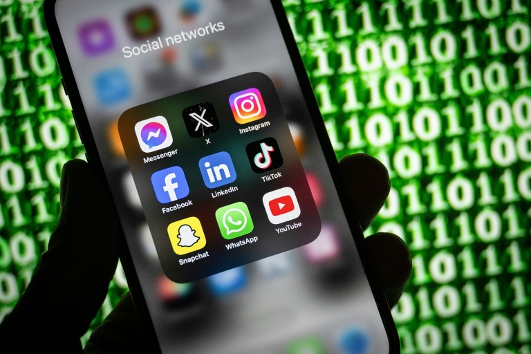 Le Conseil constitutionnel a censuré l'interdiction des réseaux sociaux aux moins de 15 ans