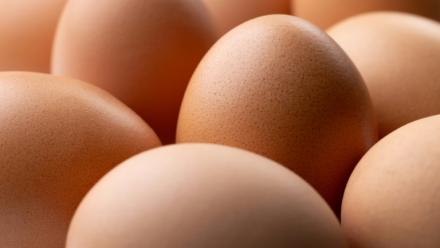 L'interprofession des oeufs a dénoncé l'importation par certains distributeurs de centaines de milliers d'oeufs d'Ukraine ne "respectant pas les normes de production européennes et pouvant contenir" des antibiotiques interdits