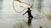 Un pêcheur jette son filet à Nadi aux Fidji, le 4 octobre 2026, à la veille de la cérémonie d'ouverture du Sommet du Pacifique pré-COP31
