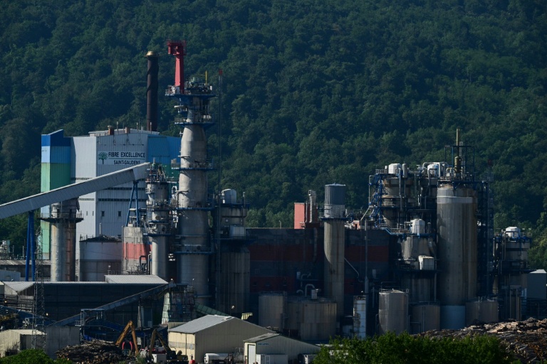 L'usine du producteur de pâte à papier Fibre Excellence à Saint-Gaudens, le 18 juin 2026 en Haute-Garonne
