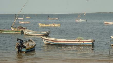 Des barques de pêche sur la Costa do Sol à Maputo (Mozambique) le 28 mai 2026